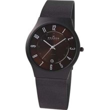 Skagen Titanium