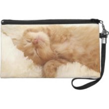 A Sleeping Cat Wristlet