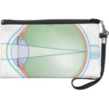 Anatomy of the Eye Wristlet