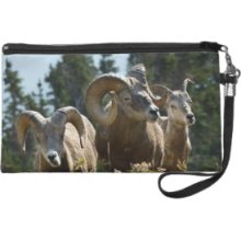 Bighorn Sheep Buquoi hi res Wristlet Clutches