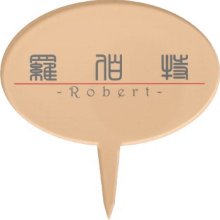 Chinese name for Robert 20794_0.pdf Cake Pick