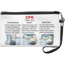 CPR - Wristlet Bag