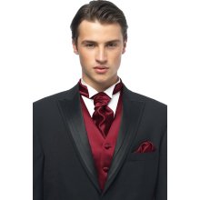 Dessy Collection Satin Cravat in Persian Plum