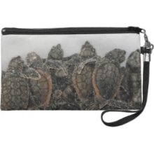 Loggerhead hatchlings Curtis Wristlet Clutches