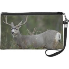 Mule Deer buck browsing in brush Wristlet Purses