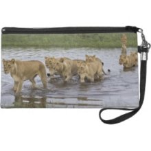 Pride of Lions Atkinson Wristlet Purse