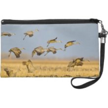 Sandhill cranes land in corn fields Wristlet