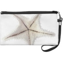 Starfish skeleton, close-up Wristlet