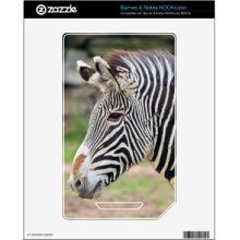 Zebra animal Decals For The Nook Color