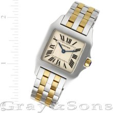 Pre-owned Cartier Demoiselle W25067z6