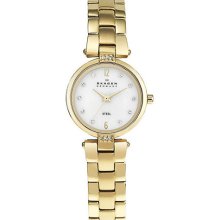 Skagen 109SGGX Womens Steel Watch