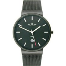 Skagen 3-Hand with Date Mesh Men's watch #351LSBB