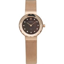 Skagen Mesh Watch, 25mm