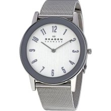 Skagen Stainless Steel Mesh Men's Watch 39LSSS