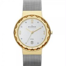 Women's Stainless Steel Case Mesh Bracelet White Tone Dial Date