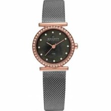 Skagen Steel Ladies Watch